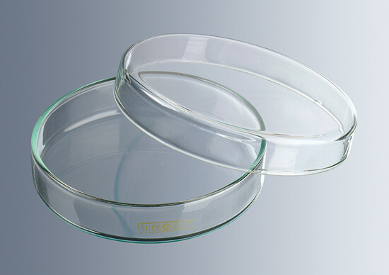 Petri Dishes, glass