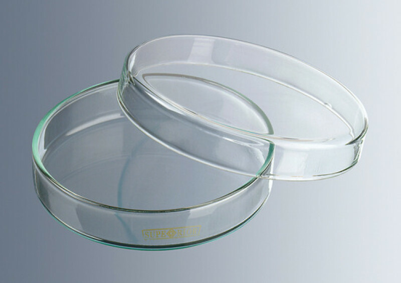 Petri dishes glass 100x15 mm | WillCo Wells